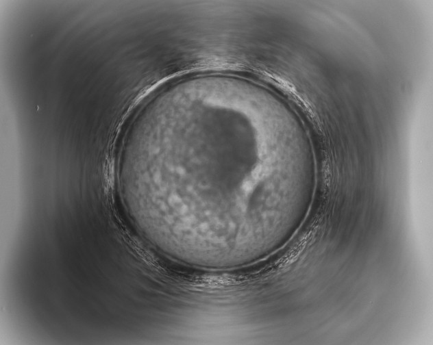 X0000093401220200710260910