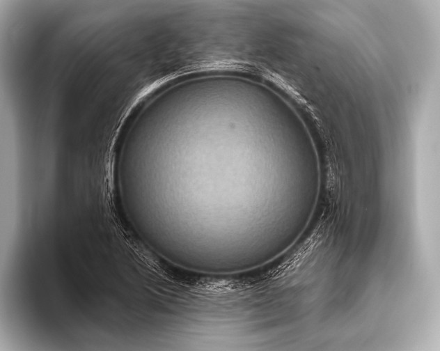 X0000093401222200710260910