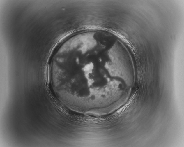 X0000093401223200710260910