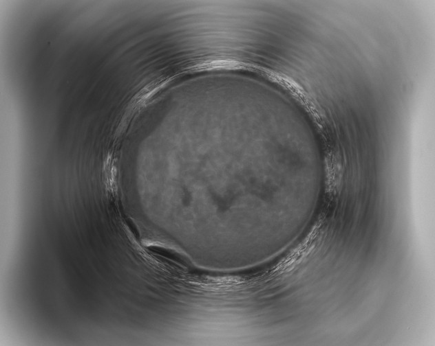 X0000093401225200710260910