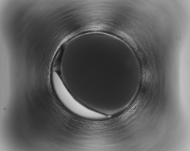 X0000093401226200710260910