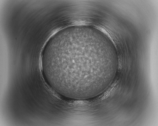 X0000093401227200710260910