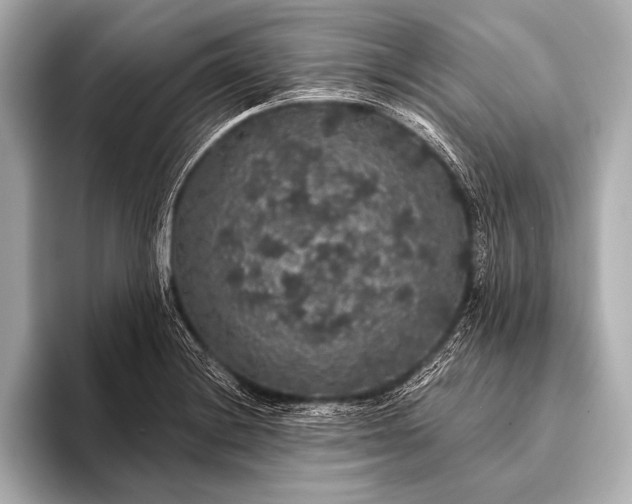 X0000093401228200710260910