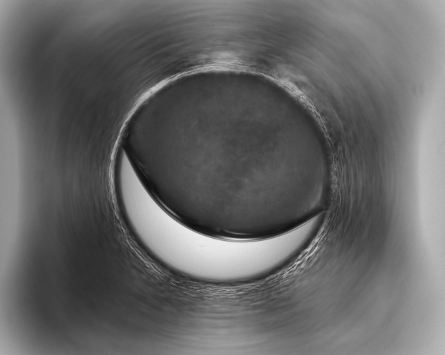 X0000093401230200710260910