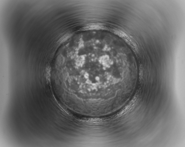 X0000093401233200710260910