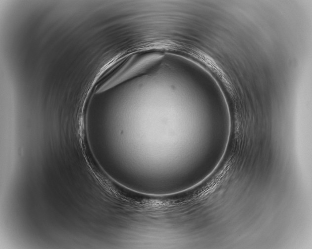 X0000093401234200710260910