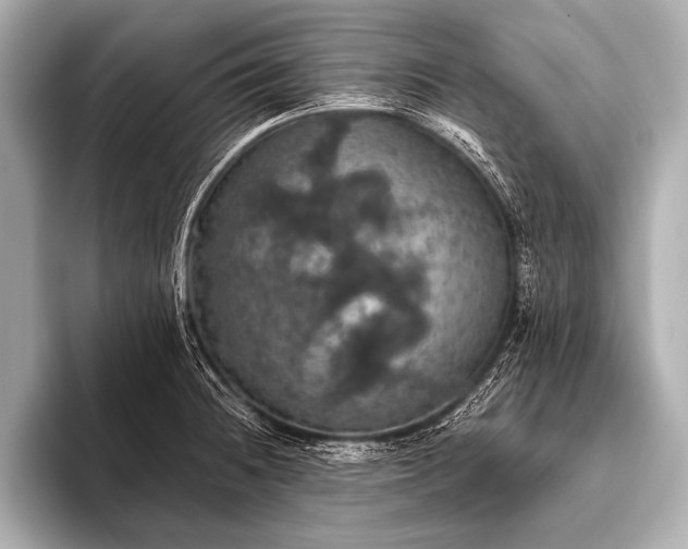 X0000093401236200710260910