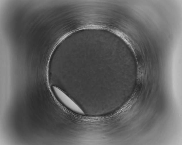 X0000093401237200710260910