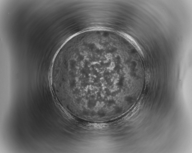 X0000093401244200710260911