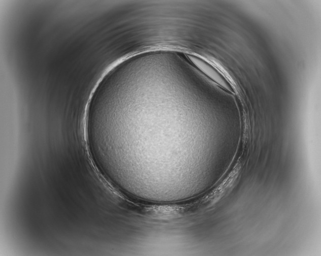 X0000093401246200710260911