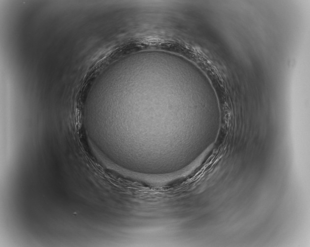 X0000093401253200710260910