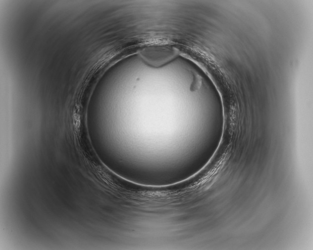 X0000093401257200710260910