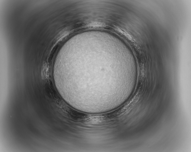 X0000093401258200710260910