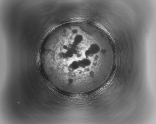 X0000093401259200710260910