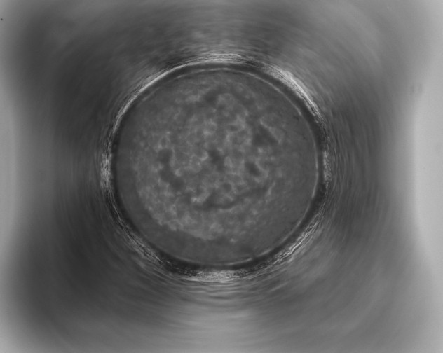 X0000093401260200710260910