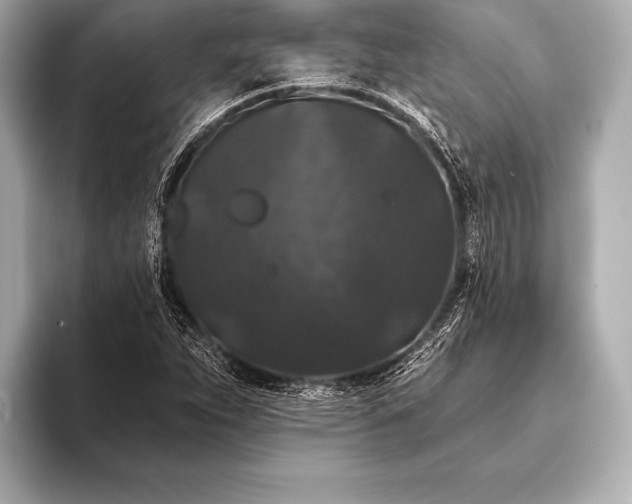 X0000093401263200710260910