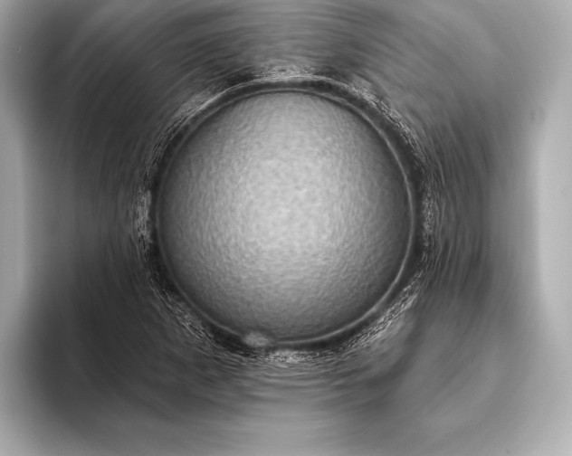 X0000093401265200710260910