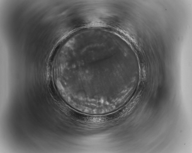 X0000093401266200710260910