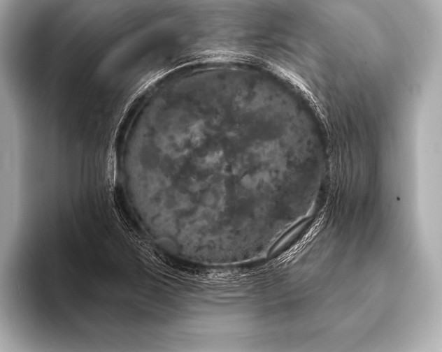 X0000093401267200710260910