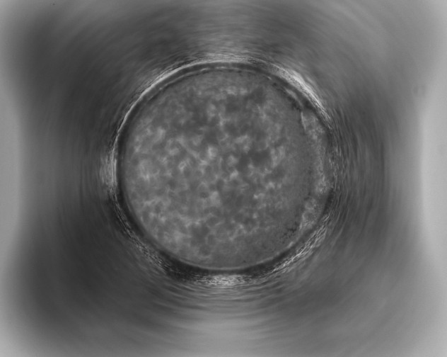 X0000093401268200710260910