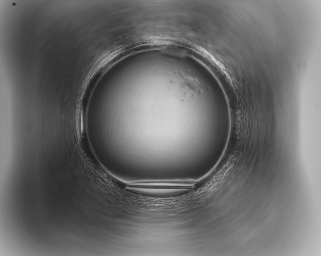 X0000093401269200710260910