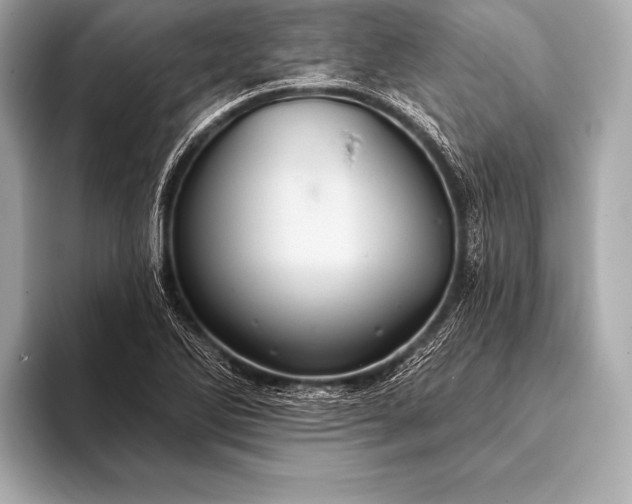 X0000093401270200710260910