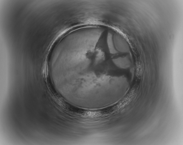 X0000093401271200710260910