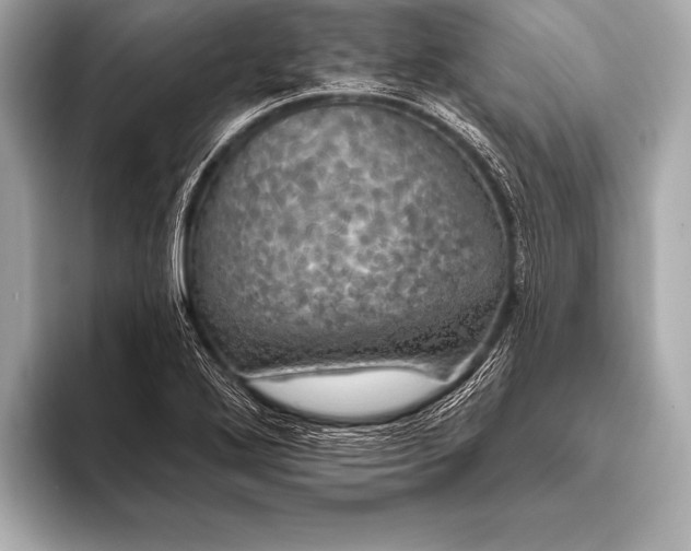 X0000093401272200710260910