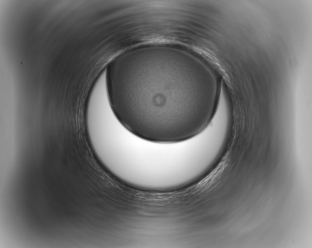 X0000093401273200710260910