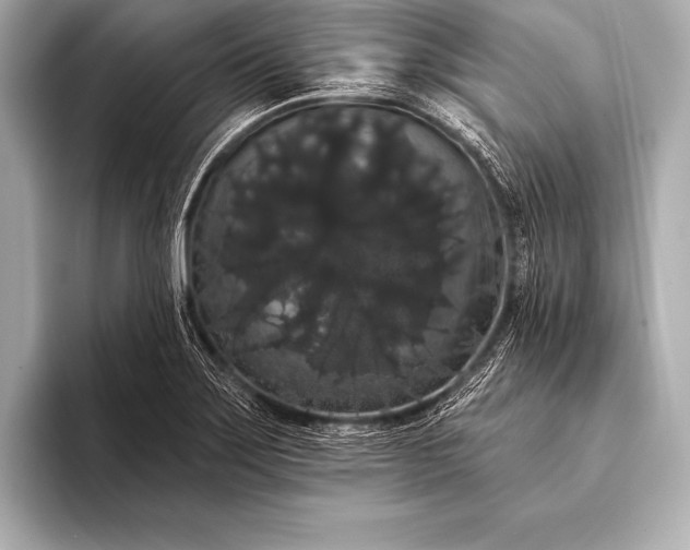 X0000093401275200710260909