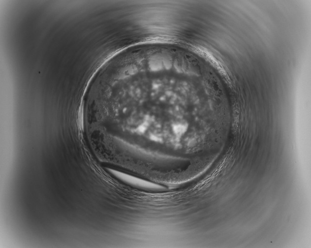 X0000093401276200710260909