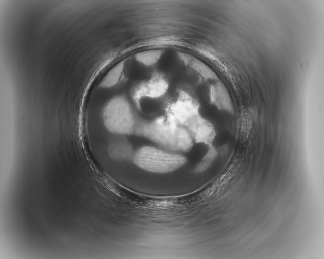 X0000093401278200710260909