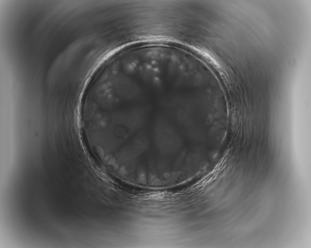 X0000093401279200710260909