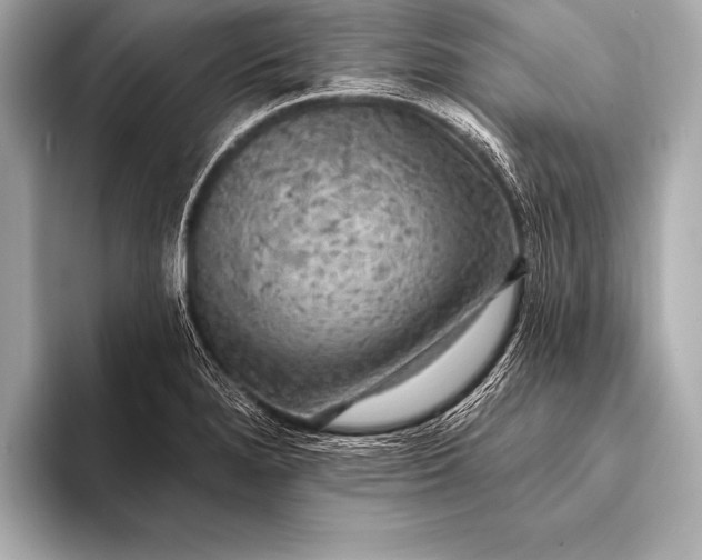 X0000093401280200710260909