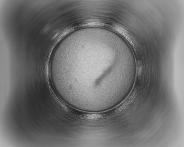 X0000093401282200710260909