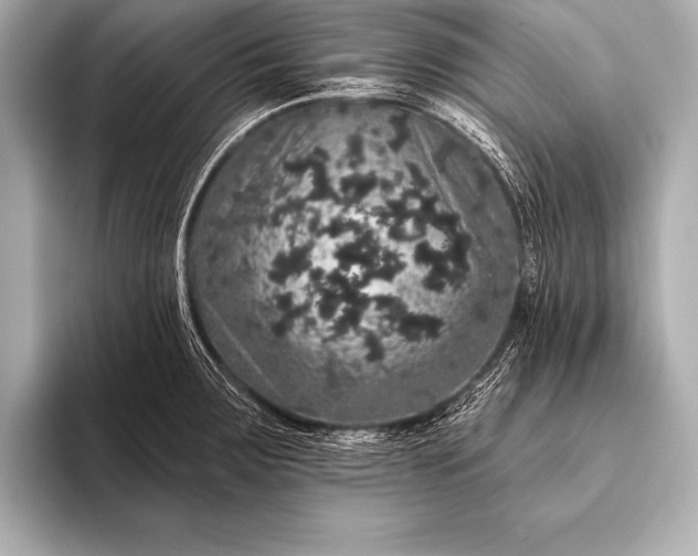 X0000093401283200710260909