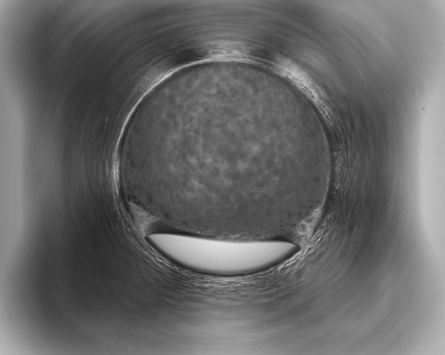 X0000093401284200710260909