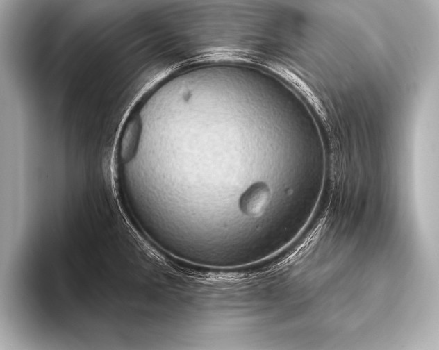 X0000093401285200710260909