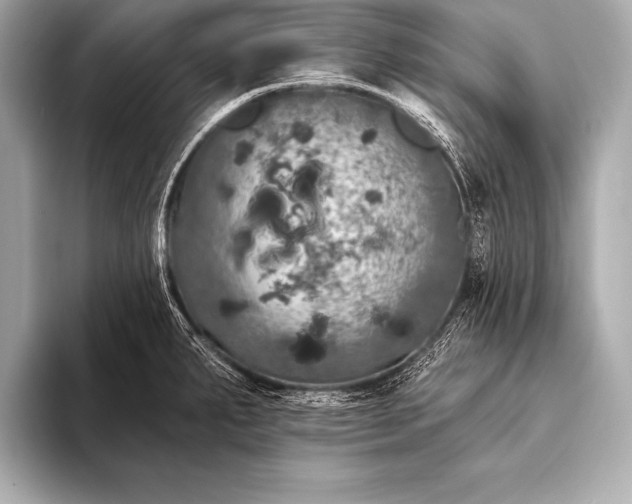 X0000093401287200710260909