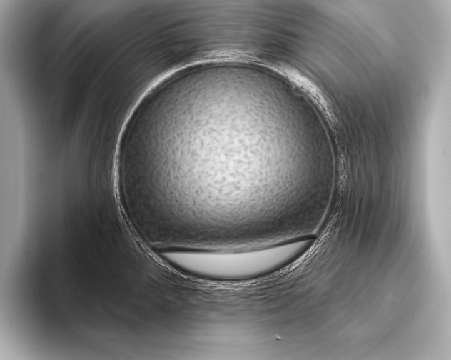 X0000093401288200710260909