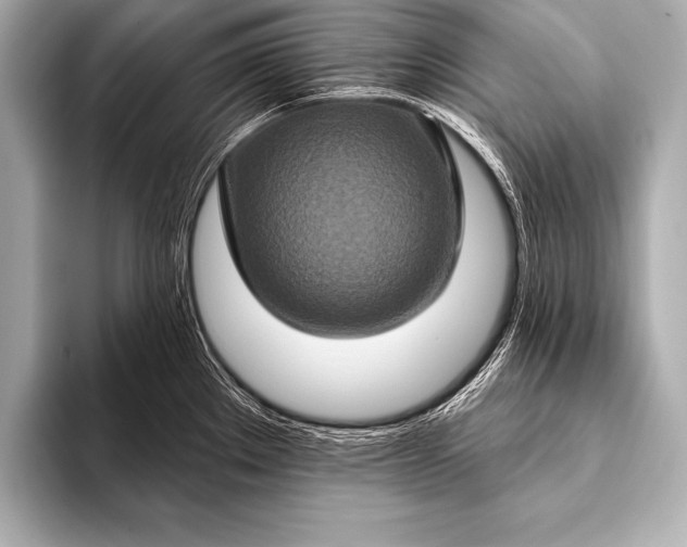 X0000093401289200710260909