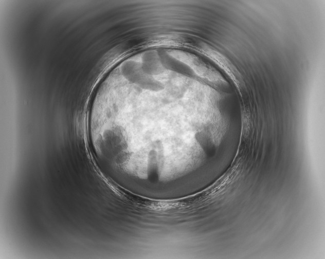 X0000093401290200710260909