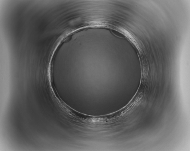 X0000093401291200710260909