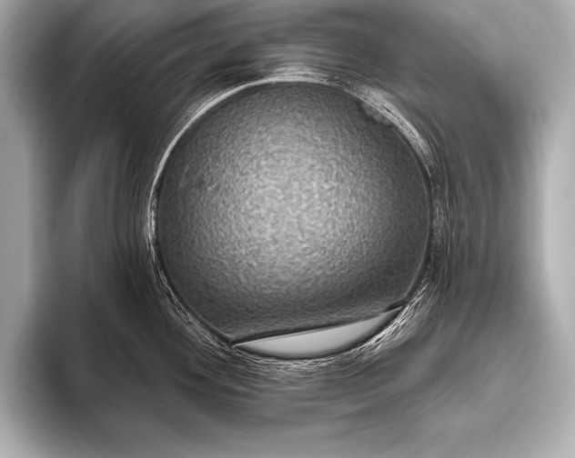 X0000093401292200710260909