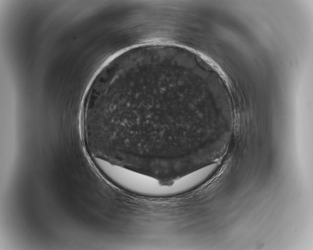 X0000093401295200710260909