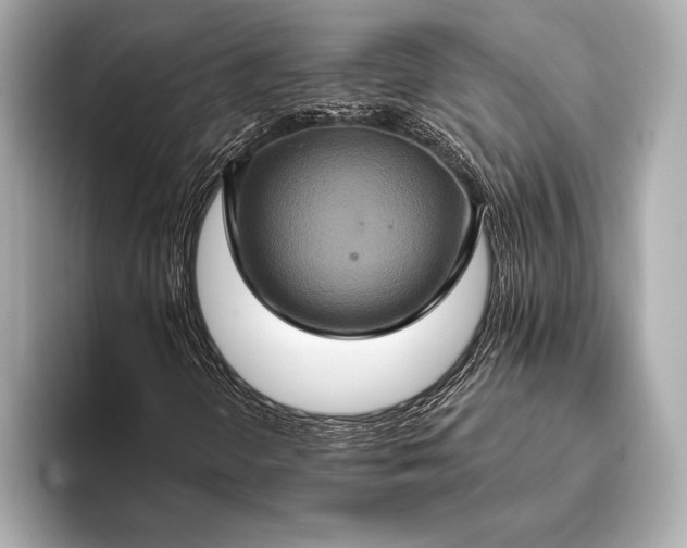 X0000093401298200710260909