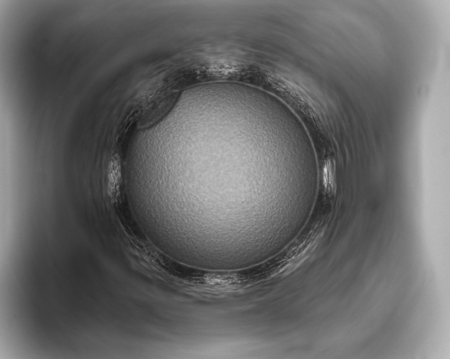 X0000093401299200710260909