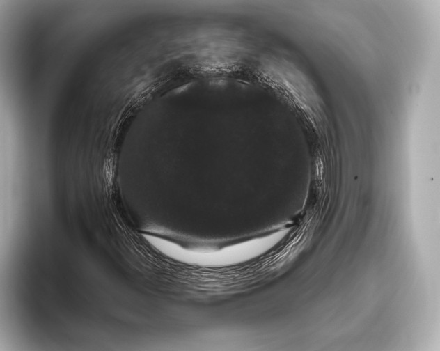 X0000093401300200710260909