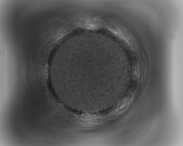 X0000093401301200710260909