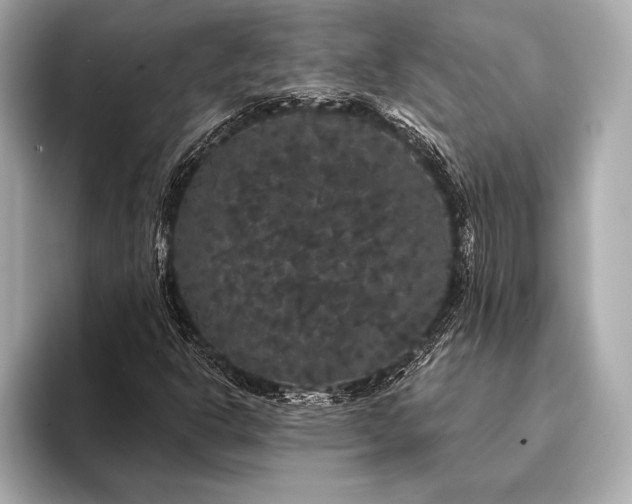 X0000093401302200710260909